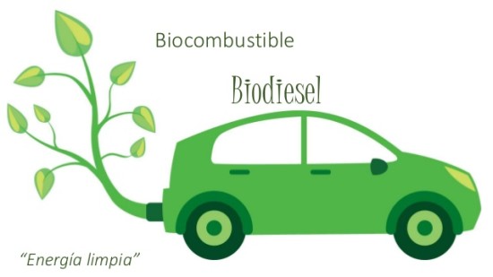 biocombustible-biodisel-1-638